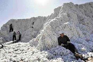 Picking Cotton in Xinjiang Workers sit on a large pile of cotton in Xinjiang