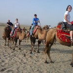 Riding a camel in Xinjiang's Taklamakan Desert