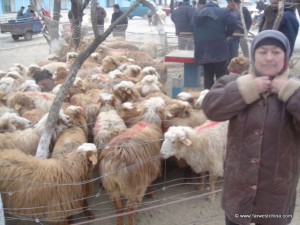 A woman selling sheep during the Corban festival in China