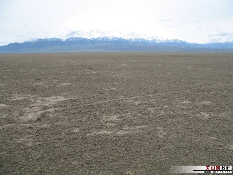 Wusu Field After A Wusu field after the worms ate devestated the ground