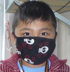 Skull and Cross bones H1N1 Mask