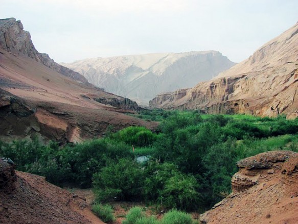 Lush Xinjiang Canyon An Oasis Valley in the Xinjiang Desert