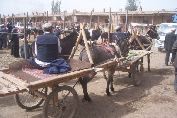Test Driving a Donkey Uyghur men test drive a donkey at the Kashgar Livestock Market