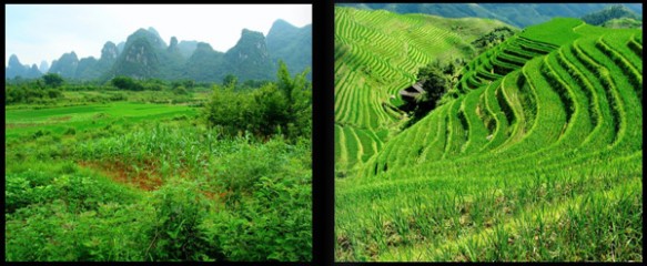 Photos from the book Expressing the Orient