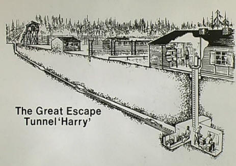 "Harry" the tunnel The tunnel where prisoners escaped a German war camp