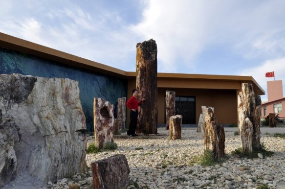 Petrified Wood Museum - Xinjiang Petrified Wood Museum at the Five Colored Hills Park in Xinjiang, China