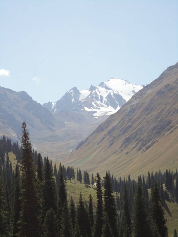 From the Nalati (Narat) Grasslands, the TianShan in Xinjiang, China