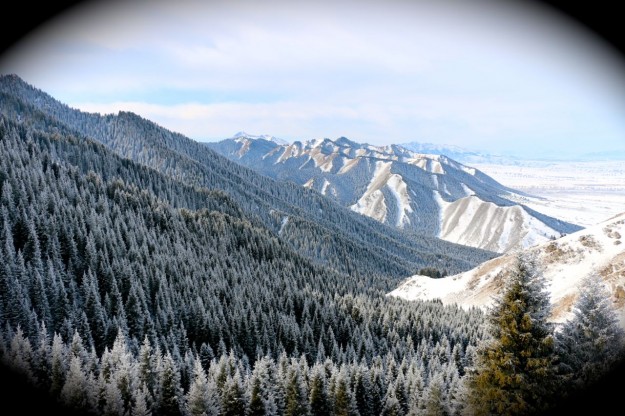 Beautiful forest and rolling hills of the Xinjiang NanShan