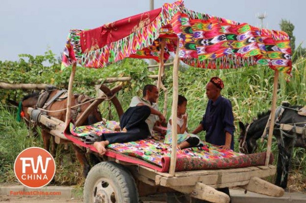 A beautiful Uyghur donkey cart in Turpan, Xinjiang