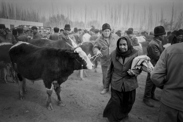 A look at Kashgar's Livestock Market by Ryan Pyle