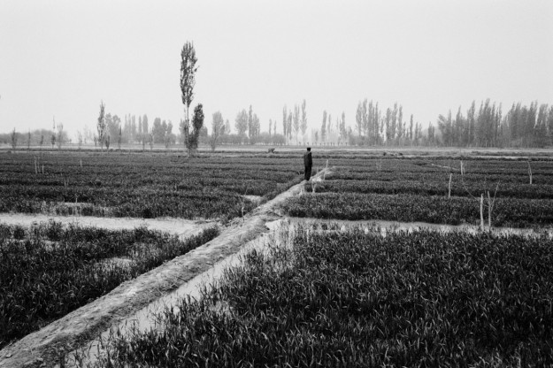 Beautiful, timeless scenery from Xinjiang, China by Ryan Pyle