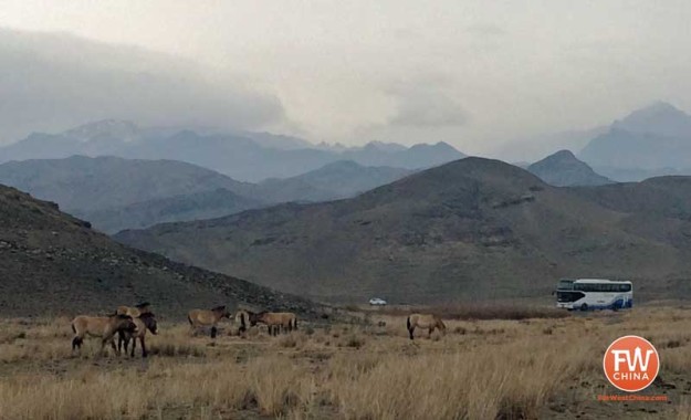 Driving through the Xinjiang Tianshan Safari Park