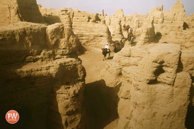 Camels Trekking through Turpan's Jiaohe Ancient City Ruins