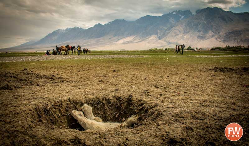 A goat carcass in the hole during a game of Buzkashi in Tashkorgan Xinjiang