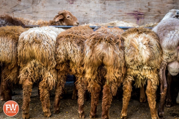Sheep butts in Urumqi, Xinjiang