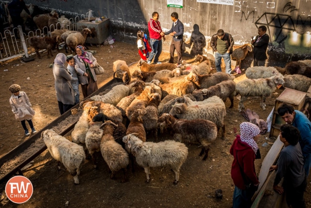 A sheep pen in Urumqi, Xinjiang during Corban