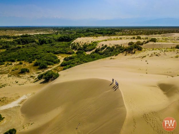 The Wusu Desert in Xinjiang, China