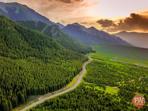 A beautiful forest road in Wusu, Xinjiang China