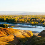 Xinjiang Beauty